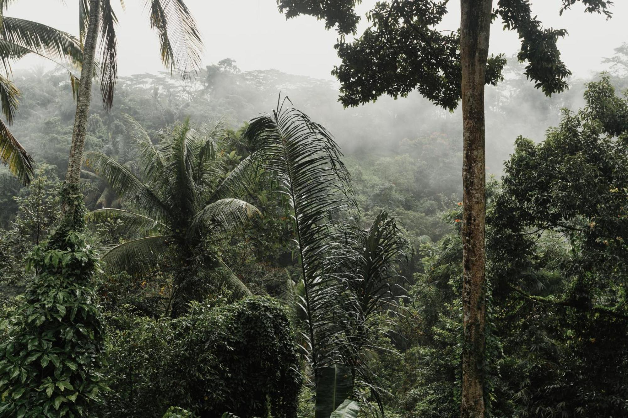 The Iyang Ubud 호텔 외부 사진